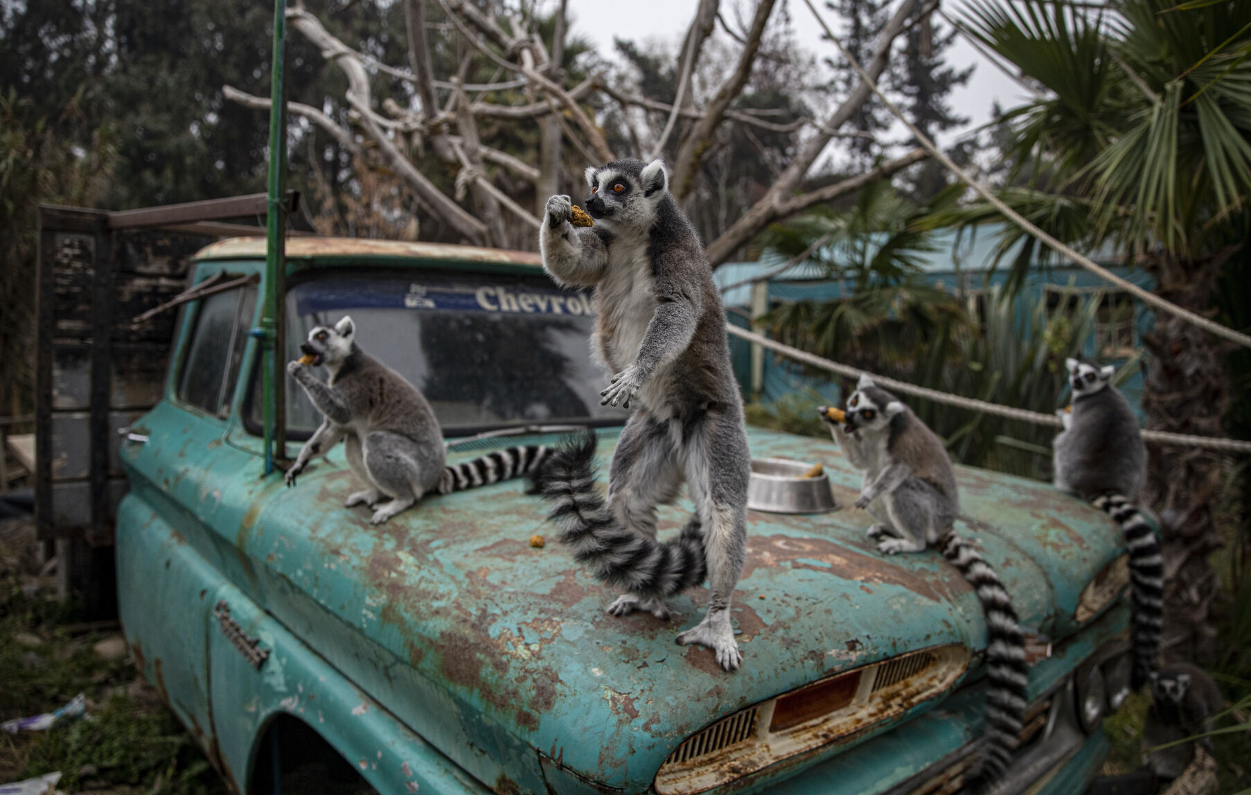 APTOPIX Virus Outbreak Chile